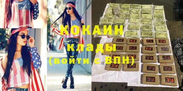 твердый Арсеньев