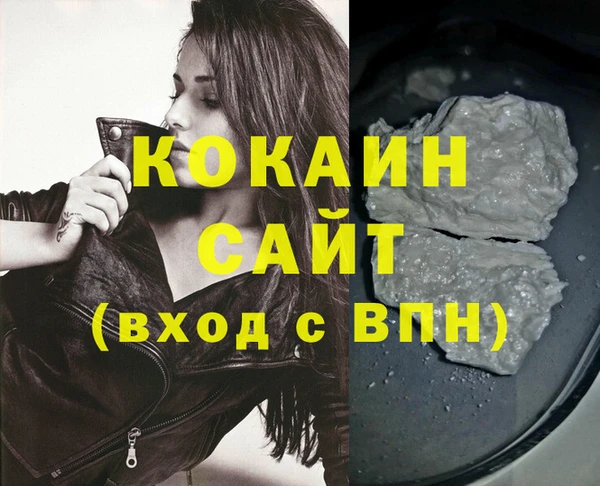 твердый Арсеньев