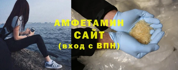 сатива Аркадак