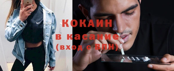 твердый Арсеньев