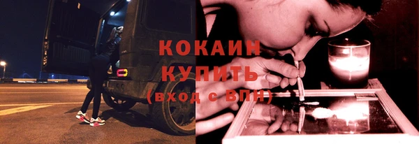 сатива Аркадак