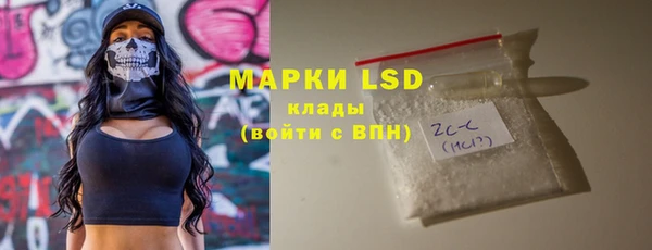 сатива Аркадак