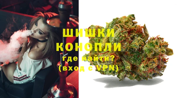 твердый Арсеньев