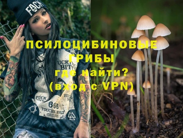 сатива Аркадак