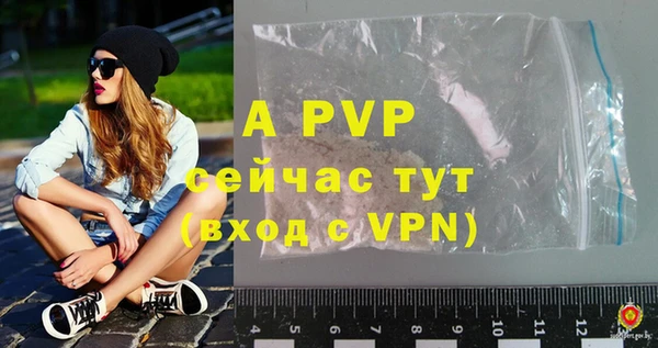 твердый Арсеньев