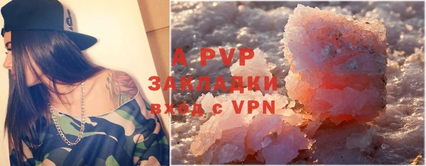 сатива Аркадак