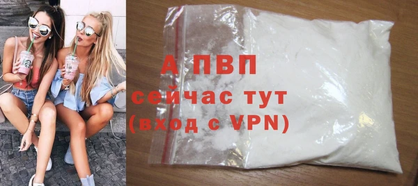 сатива Аркадак