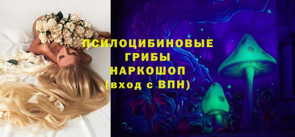 сатива Аркадак