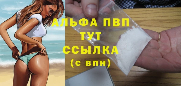твердый Арсеньев