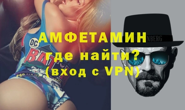 сатива Аркадак