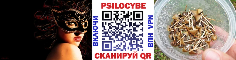 ссылка на мегу как зайти  Обоянь  Псилоцибиновые грибы Psilocybe 